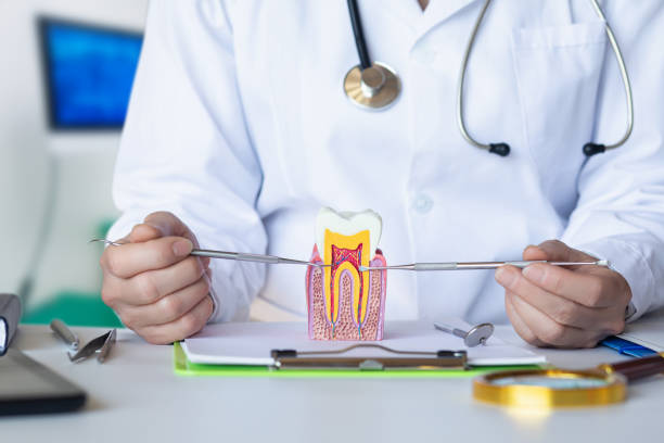Best Emergency Dental Care for Trauma or Injury in Mcalester, OK